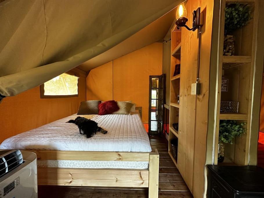 12 Fires Luxury Glamping With Heating #5 Hotel Johnson City Buitenkant foto